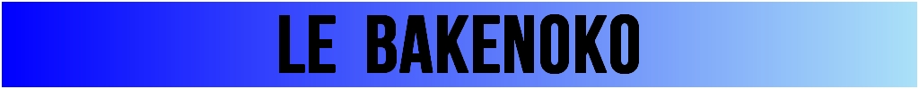 bakenoko